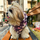 Winter Hoodie Jacket for Small Breed Dog (Pink With White And Teal Spots)