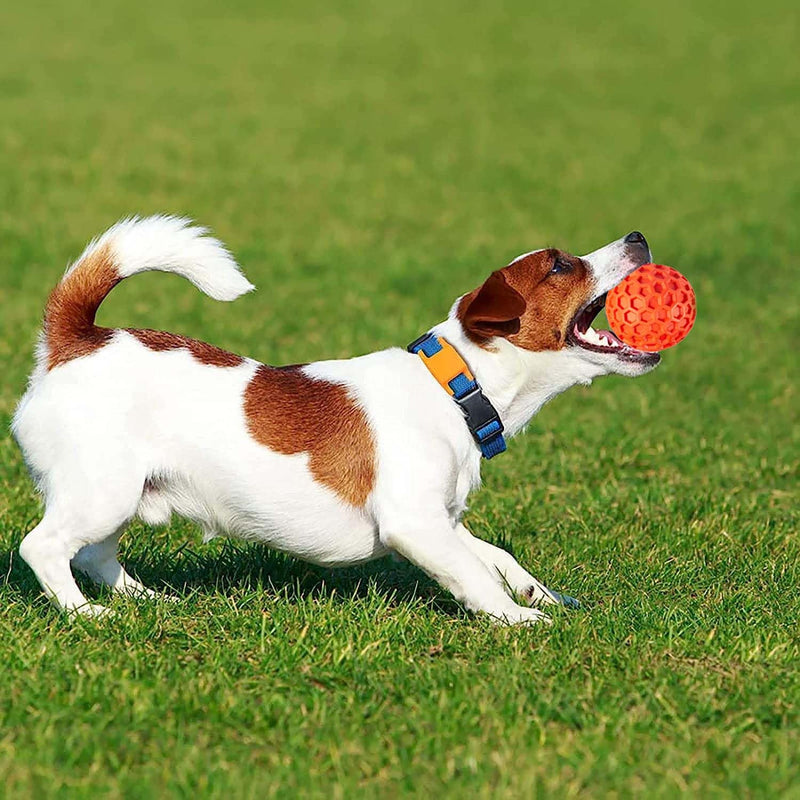 Squeaky Balls Chew Toy For Small/Medium Dogs