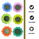 Catnip Chew Toy for Cats - Dental Care and Bonding