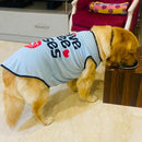 Summer T-shirt For Pets