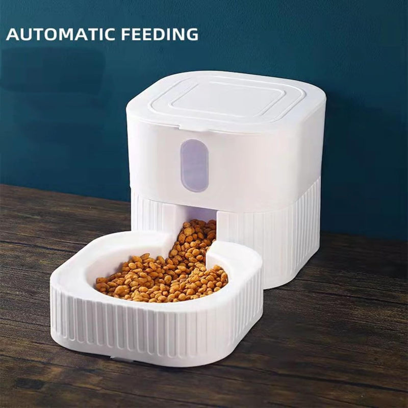 Automatic Feeders Bowl For Pets