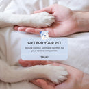 Adjustable Harnesses For Dogs