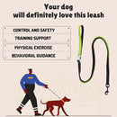 Flexible Bungee Leash For Dogs