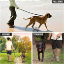 Reflective  Bungee Leash For Dogs