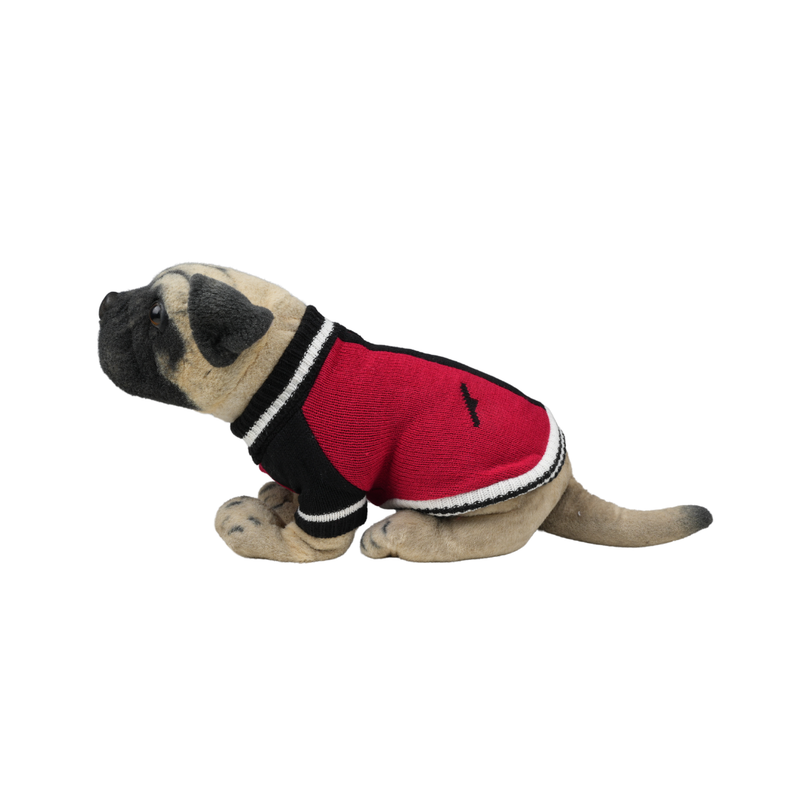 Warm Knitted Sweater for Dogs Perfect for Autumn and Winter