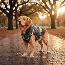 Winter Dog Jacket with Harness for Dogs