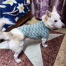 Winter Sweater For Dogs and Cats ( Sea Green )