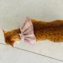 STYLISH Cat Bow Tie Collar