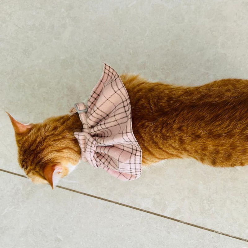 STYLISH Cat Bow Tie Collar