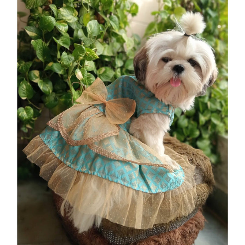 Traditional Dog Dress for Small, Medium & Large Dogs