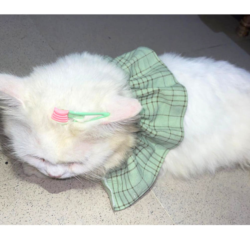 STYLISH Cat Bow Tie Collar