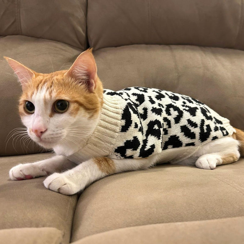 Winter Sweater For Dogs and Cats