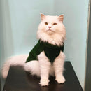 Winter Sweater For Dogs and Cats ( Olive green )