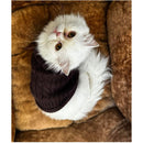 Winter Sweater For Dogs and Cats