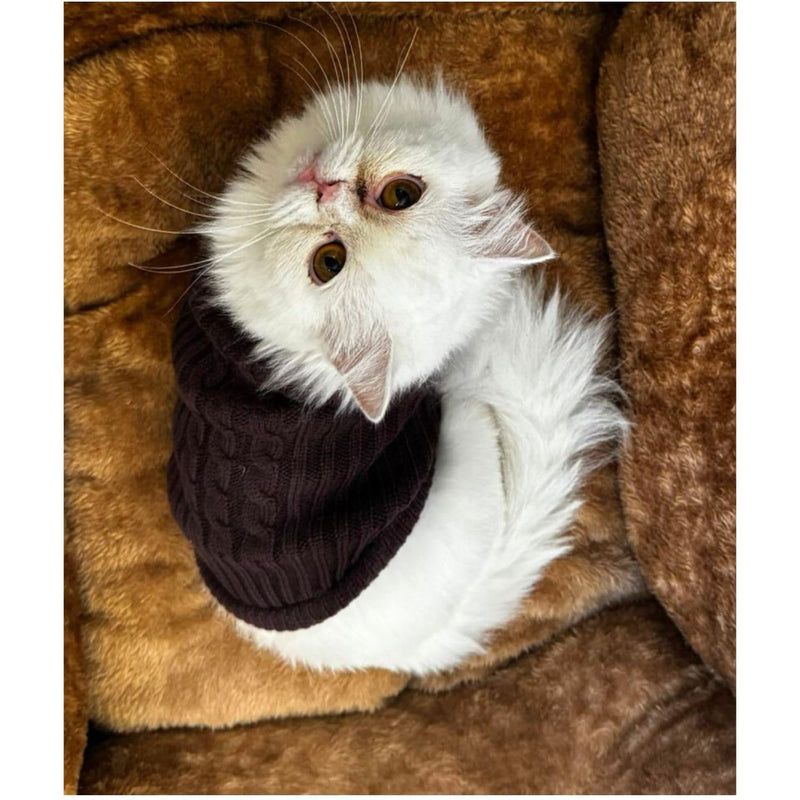 Winter Sweater For Dogs and Cats