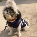 Winter Sweater For Dogs and Cats ( Dark Blue )