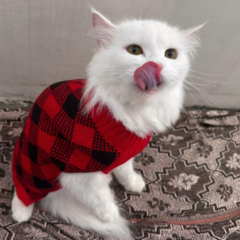 Winter Sweater For Dogs and Cats
