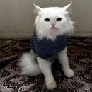 Winter Sweater For Dogs and Cats