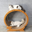 Cat Exercise Wheel for Indoor Cats