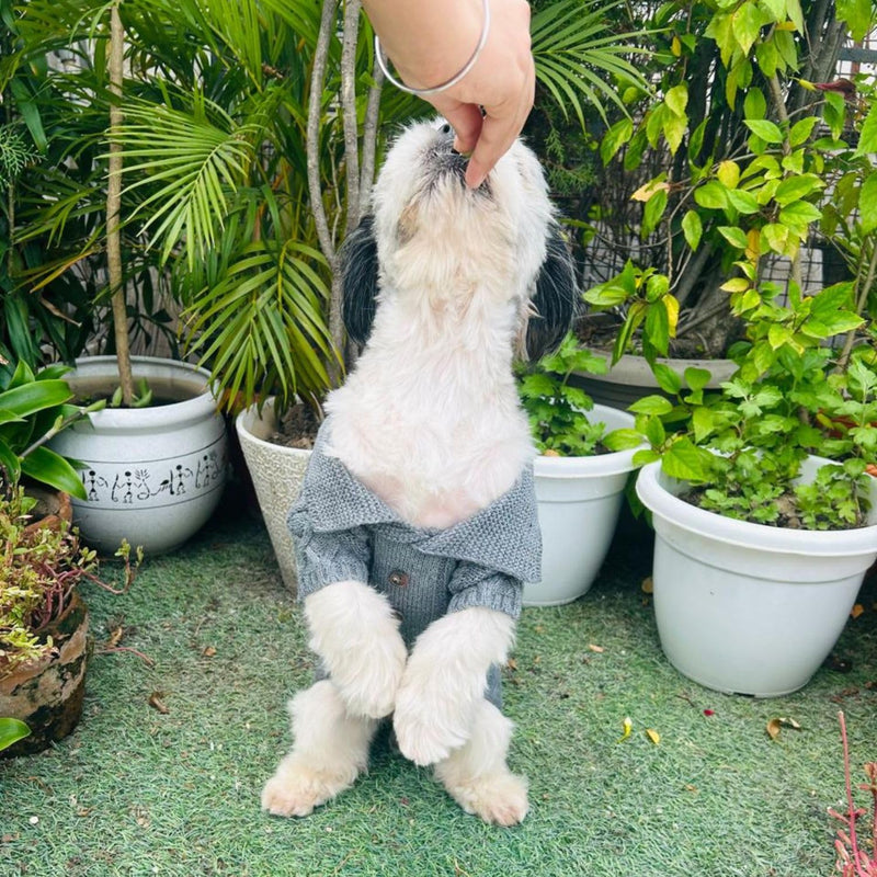 Winter Sweater For Dogs and Cats