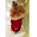 Winter Sweater For Dogs and Cats ( Maroon )