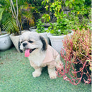 Winter Sweater For Dogs and Cats