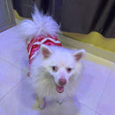 Winter Sweater For Dogs and Cats ( Red )