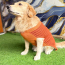 Dog Knitted Sweater for Winter - Orange