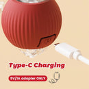 Interactive Cat Toy Ball for Indoor Cats