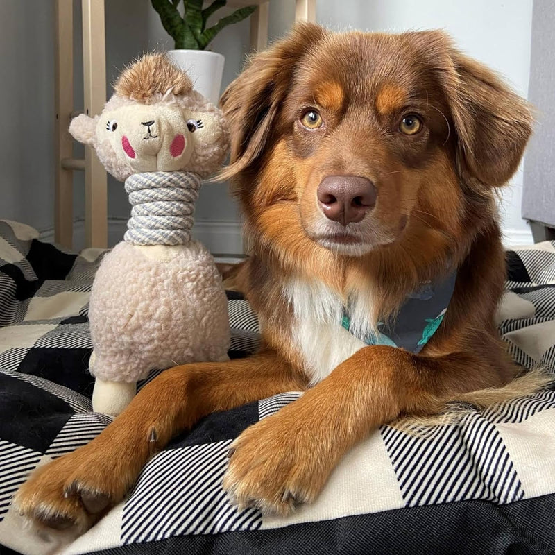 Plush Toy For Small Medium Dogs