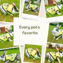 Summer T-shirt For Pets