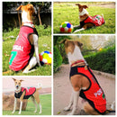 Summer T-shirt For Pets