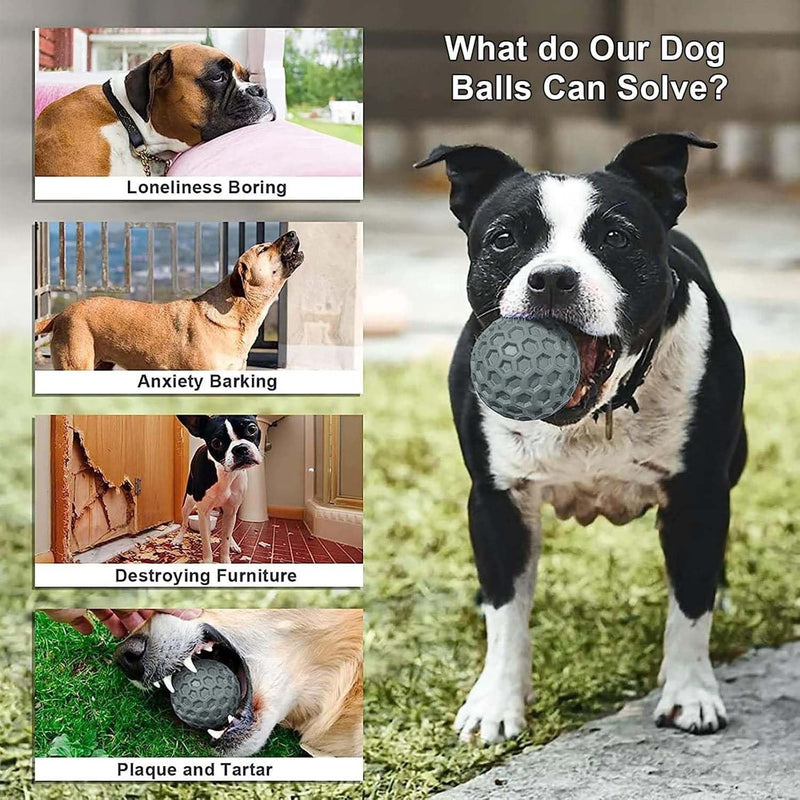 Squeaky Balls Chew Toy For Small/Medium Dogs