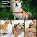 Breathable Dog Harness for Safety