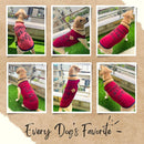 Summer T-shirt For Pets