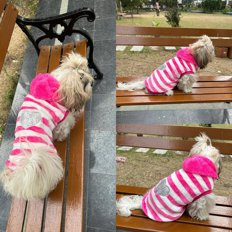 Winter Hoodie Jacket for Small Breed Dog (Pink)