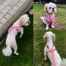 Vest Harness with Leash For Pets
