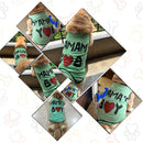 Summer T-shirt For Pets