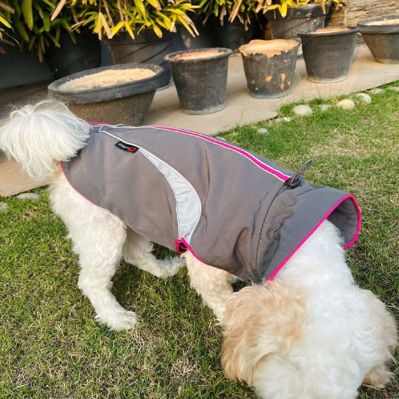 Waterproof Jacket for Small Breeds Dogs (Grey-Pink)