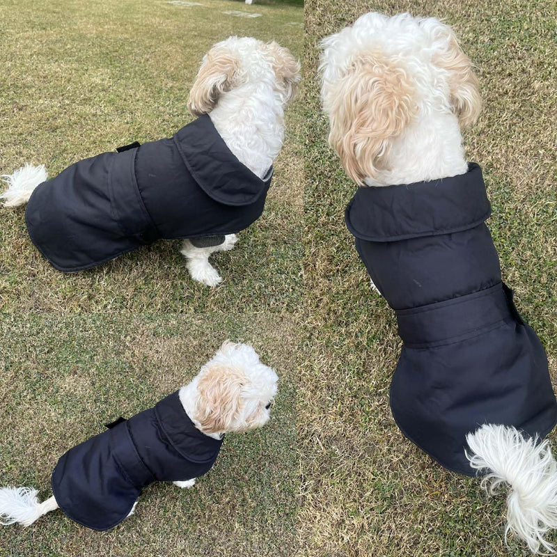 Winter Jacket for Small Breed Dog (Black)