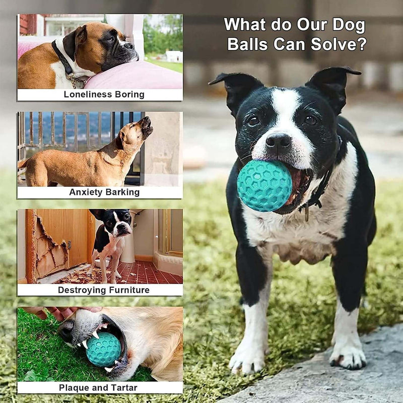 Squeaky Balls Chew Toy For Small/Medium Dogs