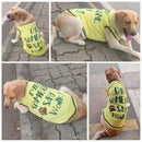 Summer T-shirt For Pets