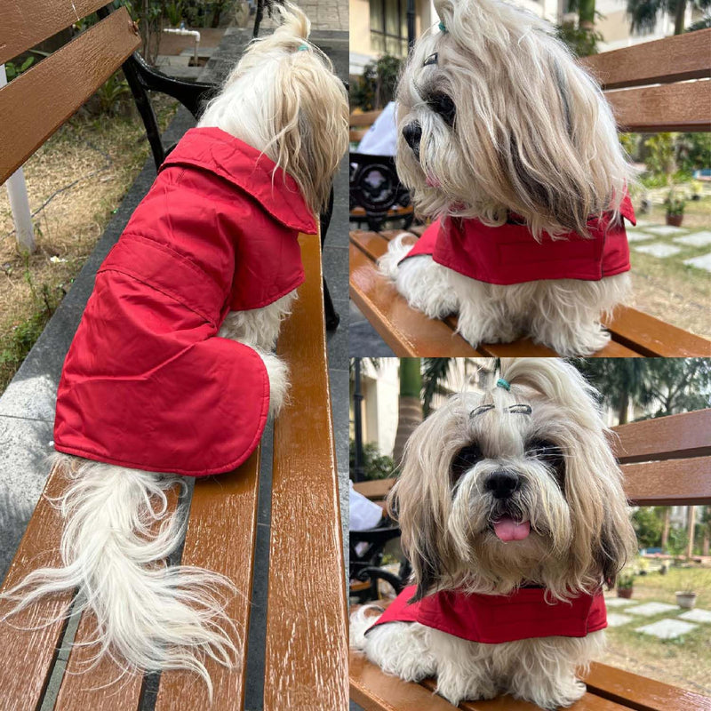 Winter Jacket for Small Breed Dog (Red)