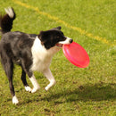 Frisbee Fetch Toy For Dogs (Colors May Vary Pack of 3)