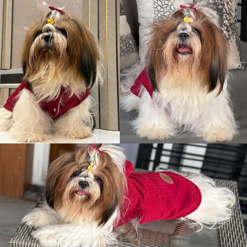 Hoodie Sweater Coat For Small Dogs Cats (Maroon)