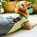 Summer T-shirt For Pets