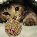 Sound Ball For Indoor Cats
