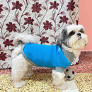 Dog Sweater with Paw Print - Blue