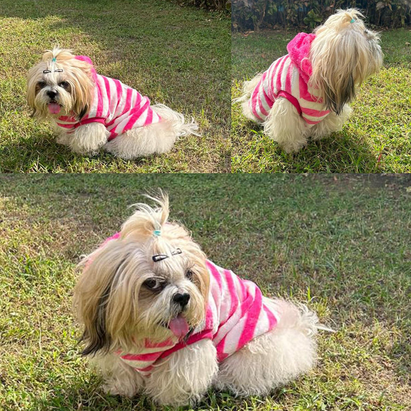 Winter Hoodie Jacket for Small Breed Dog (Pink)