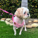 Vest Harness with Leash For Pets